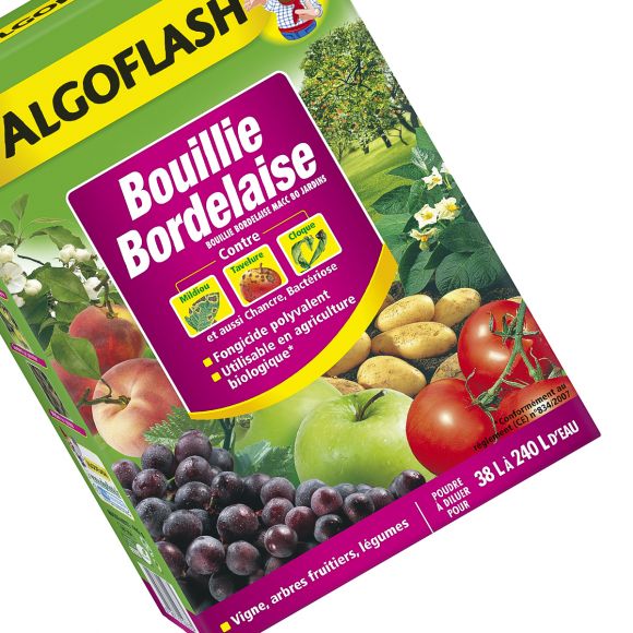Bouillie Bordelaise : fongicide bio pour traiter le jardin