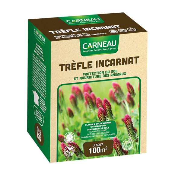 Trèfle Incarnat Carneau