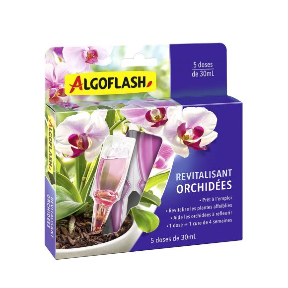 5 doses de 30 mL revitalisantes Algoflash pour tous les genres d'Orchidées.