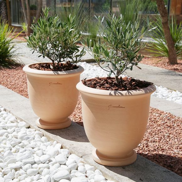 Coupe Sur Pied, poterie en terre cuite rosée Goicoechea.